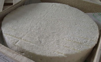 MAXI TOMME AFFINEE ENV 1.2KG