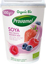 YOFU FRUITS DES BOIS 500G