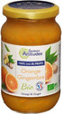 PREPARATION 100% FRUITS ORANGE GINGEMBRE 310G