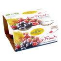BIPHIDUS 1/2 ECREME FRUITS FRAMBOISE MANGUE MYRTILLE 4X125G