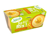 DELICE DE RIZ MANGUE PASSION 2X100G