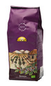 BIOCAFE GRAINS DE CAFE 500G