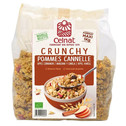 CRUNCHY POMMES CANNELLE 1KG