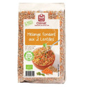 MELANGE FONDANT AUX DEUX LENTILLES 500G