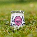 YAOURT BIO PECHE DE VIGNE POT PP 125G