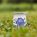 YAOURT BIO MYRTILLE GROSEILLE POT PP 125G