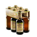 BIERE BIOBIER PACK 6X25CL