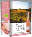 BIB DAME DE CLEVE VIN DE FRANCE ROSE 3L